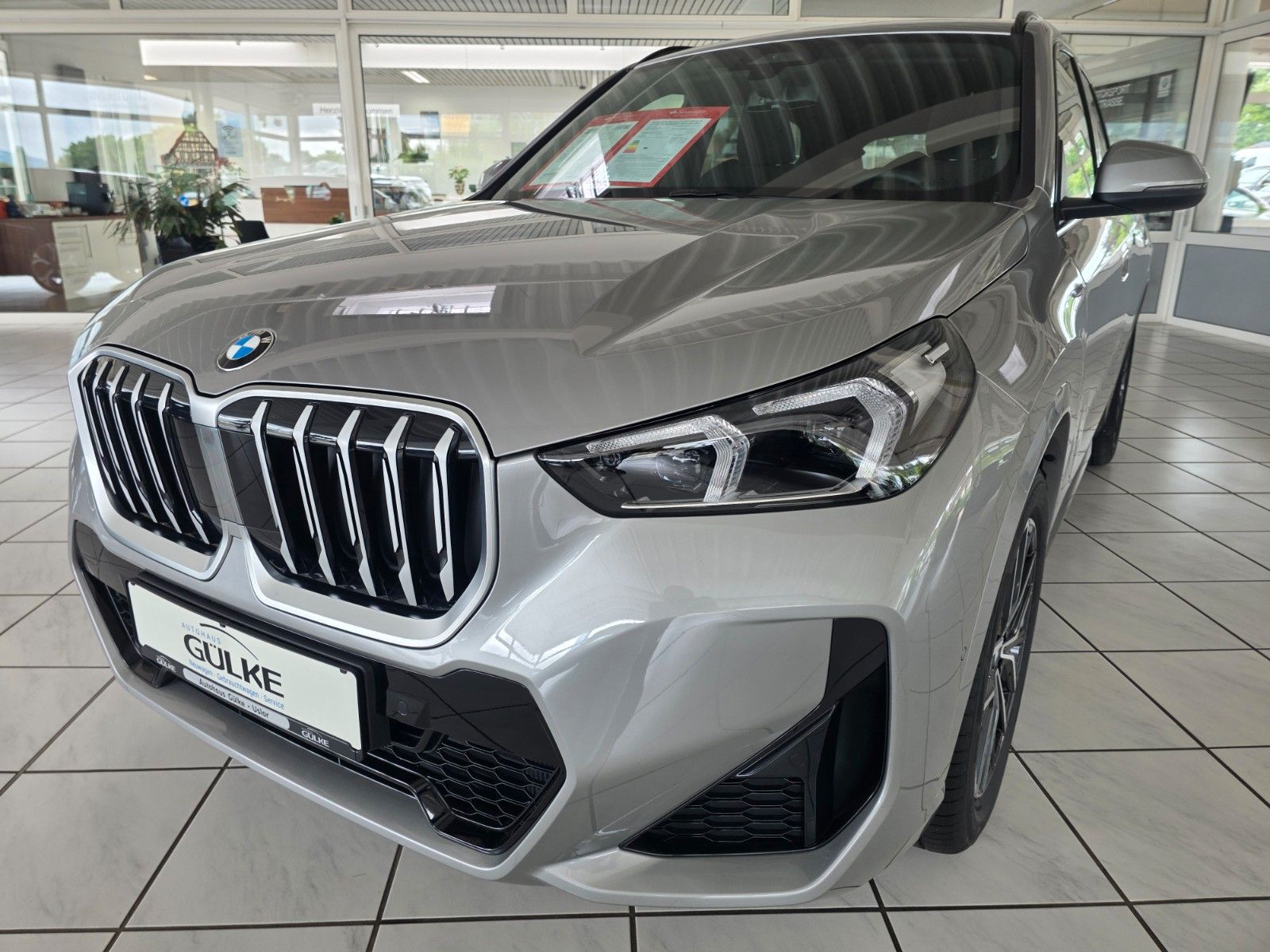 BMW X1 18 i sDrive M Sport, Travel Paket, PDC,Kam