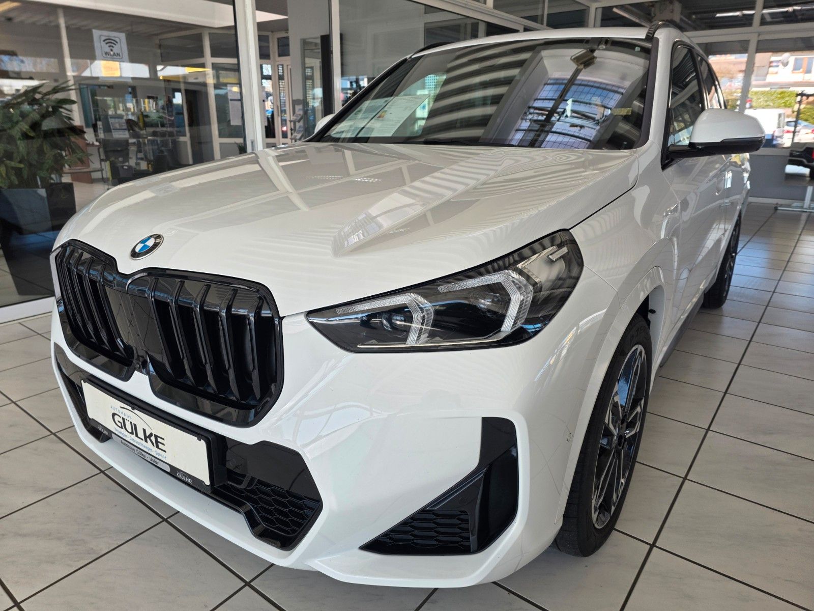 BMW X1 20 d xDrive M Sport AHK, Lenkheiz.